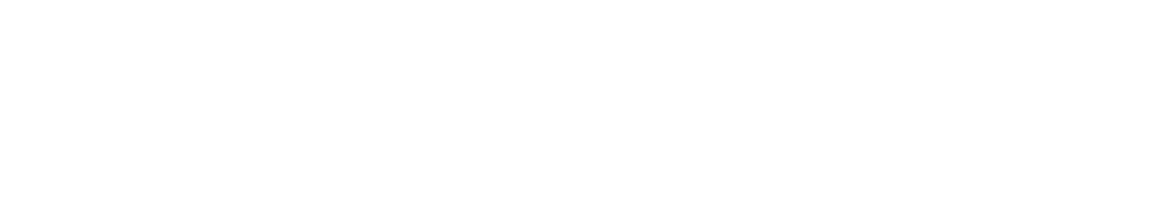 BRANDSS